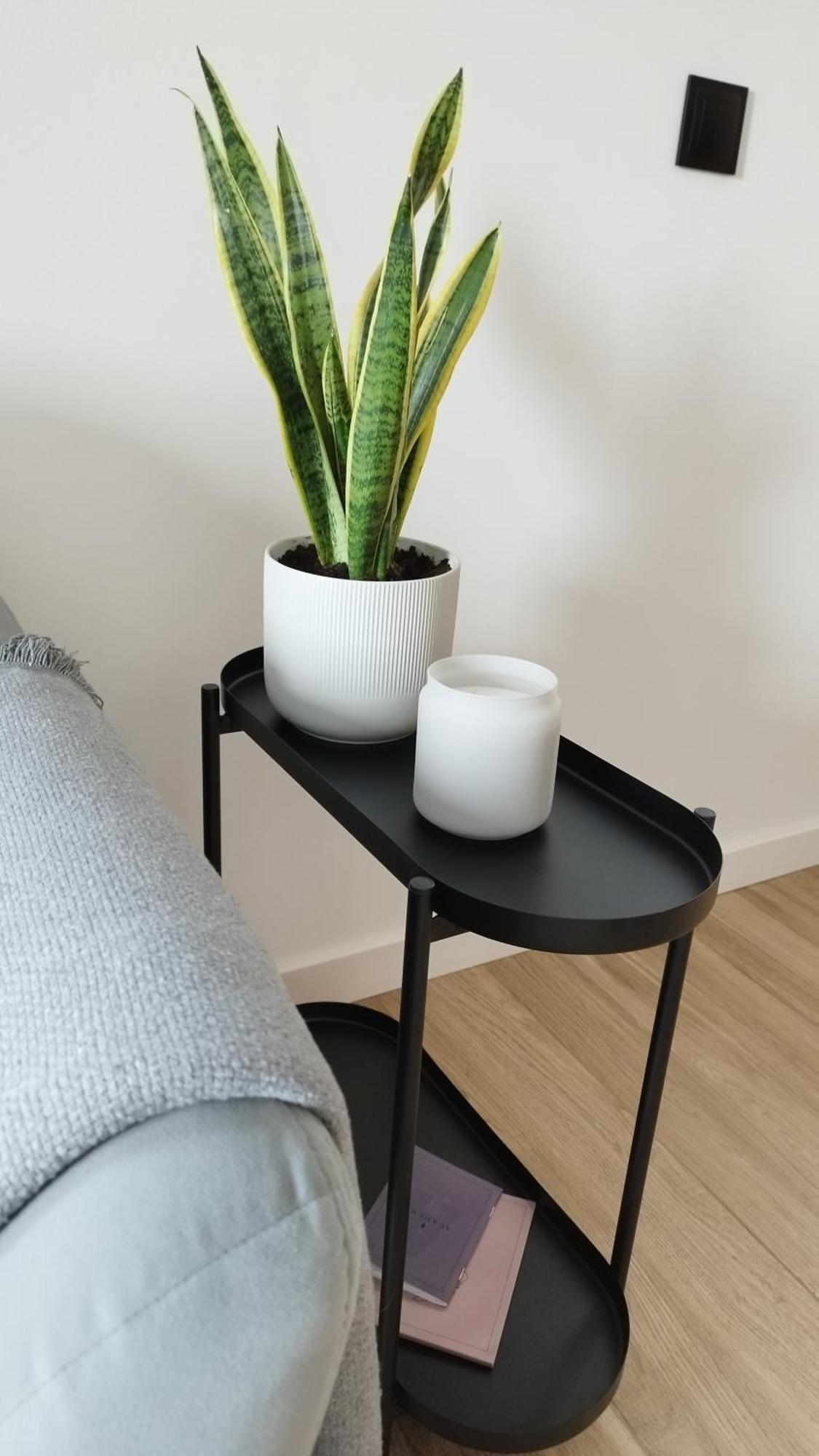 Apartment Between Krasków Εξωτερικό φωτογραφία